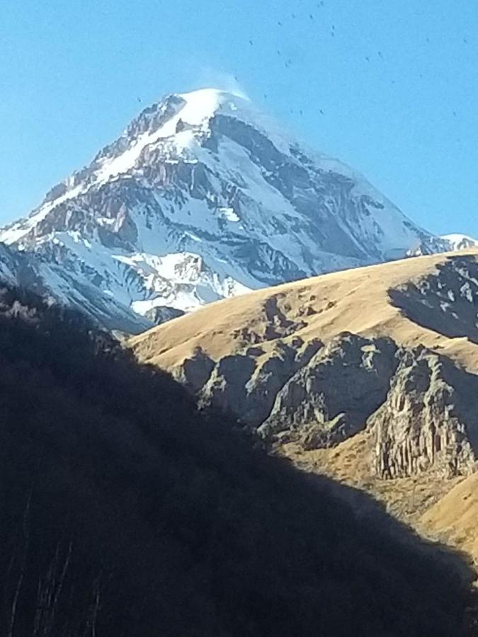 شقة Emotion Kazbegi المظهر الخارجي الصورة