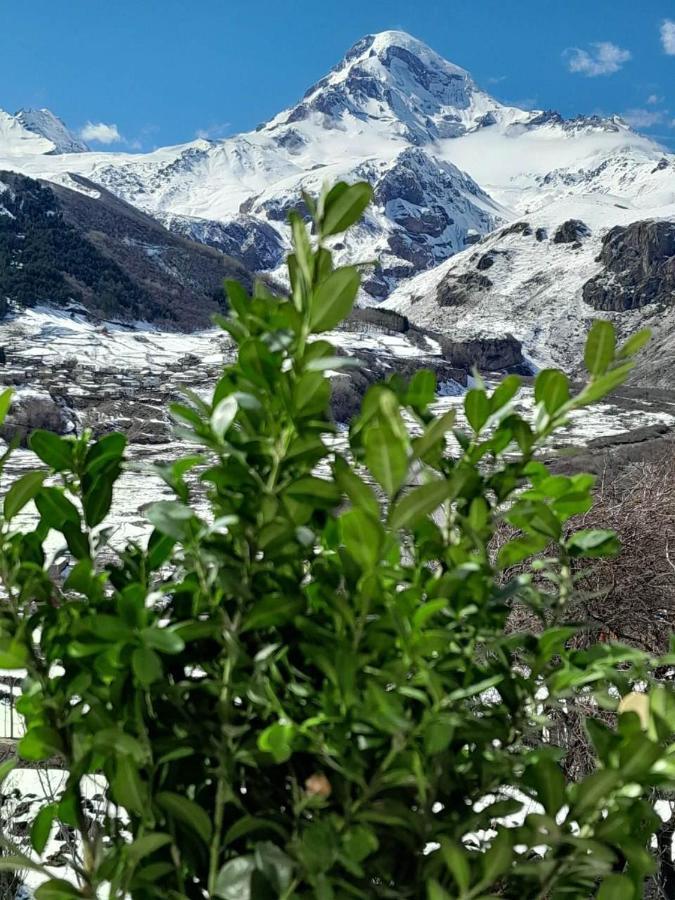 شقة Emotion Kazbegi المظهر الخارجي الصورة