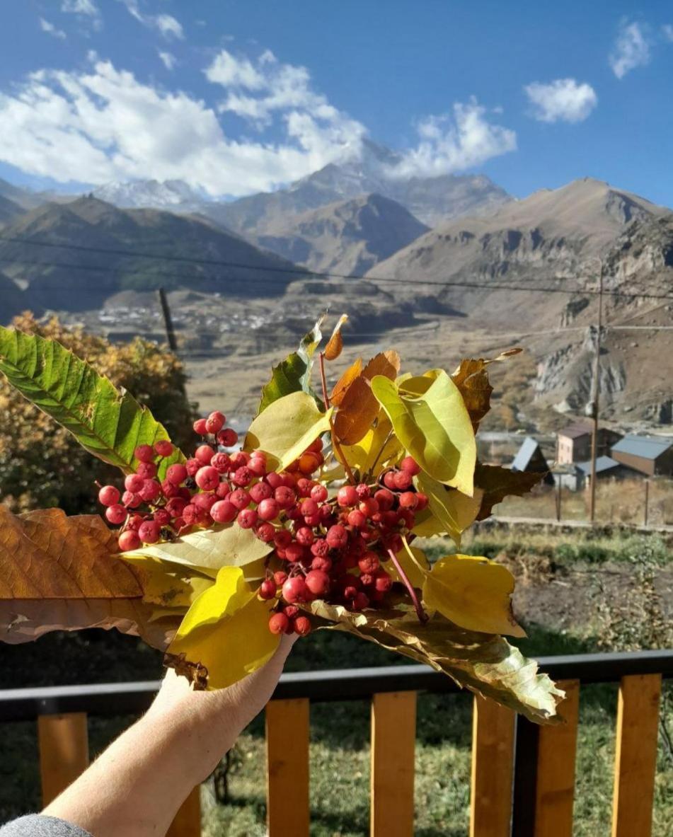 شقة Emotion Kazbegi الغرفة الصورة