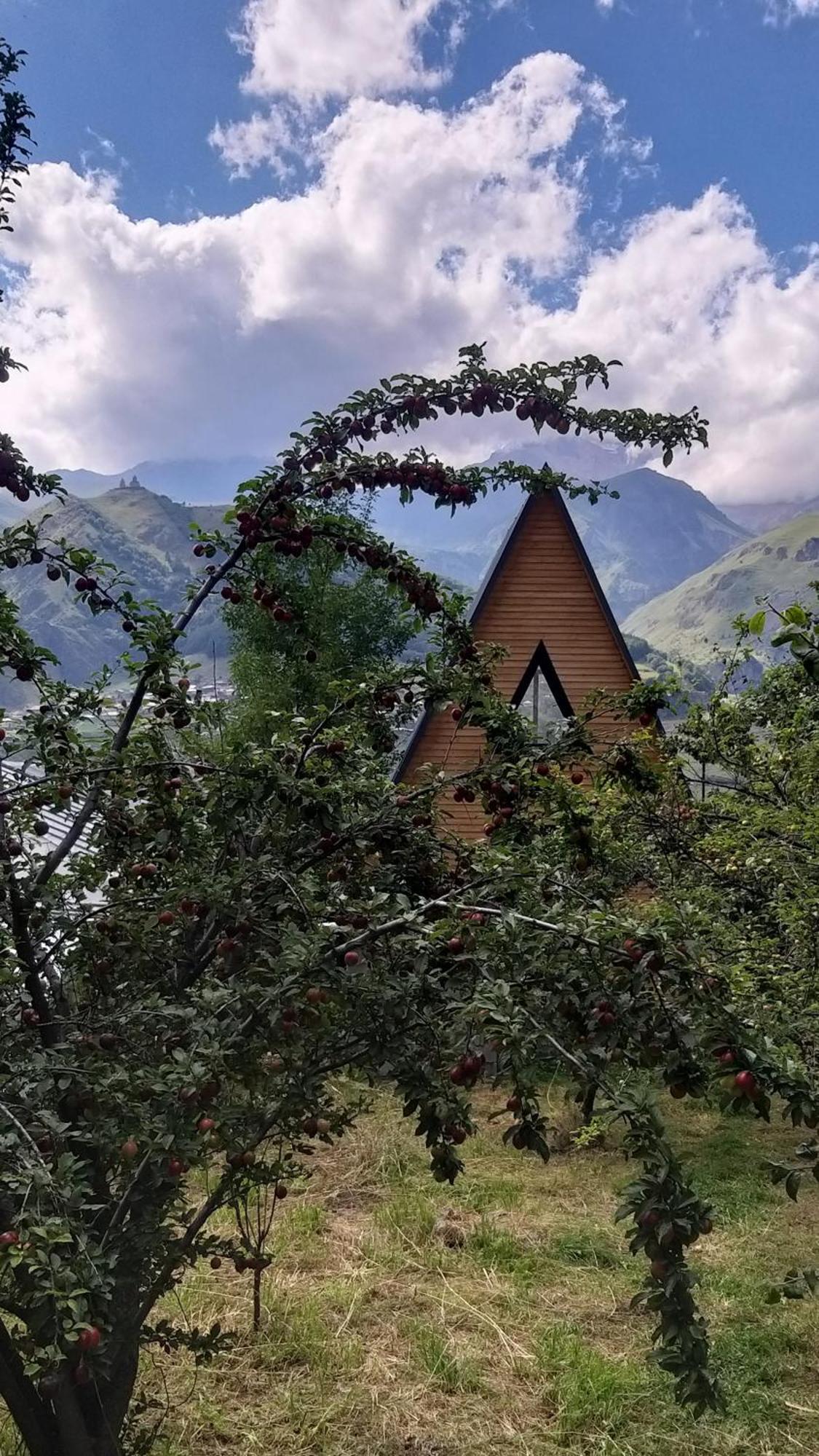 شقة Emotion Kazbegi المظهر الخارجي الصورة